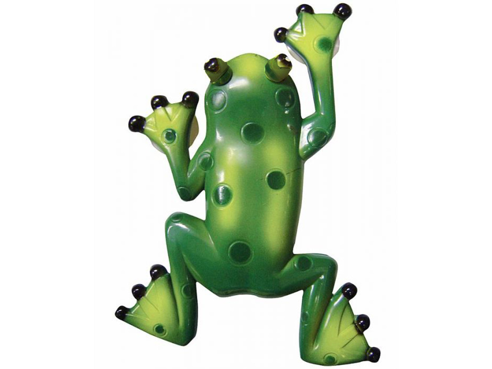 eng_pl_External-suction-cup-thermometer-frog-3452_3fgh