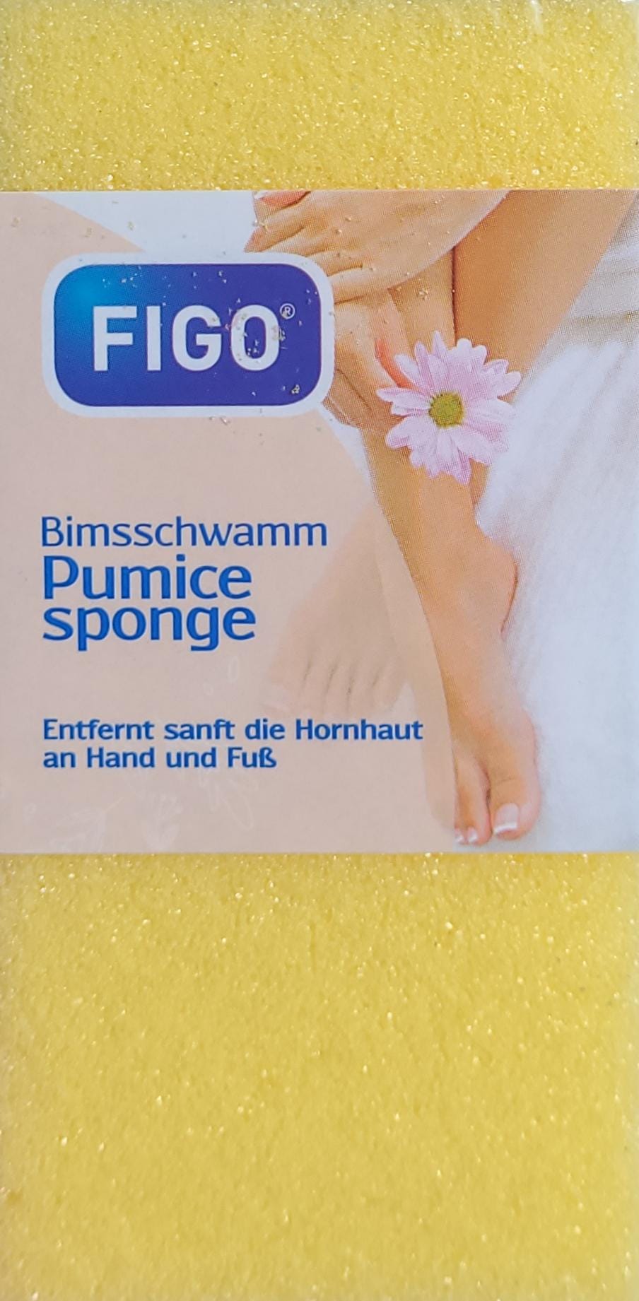 Bimsschwamm