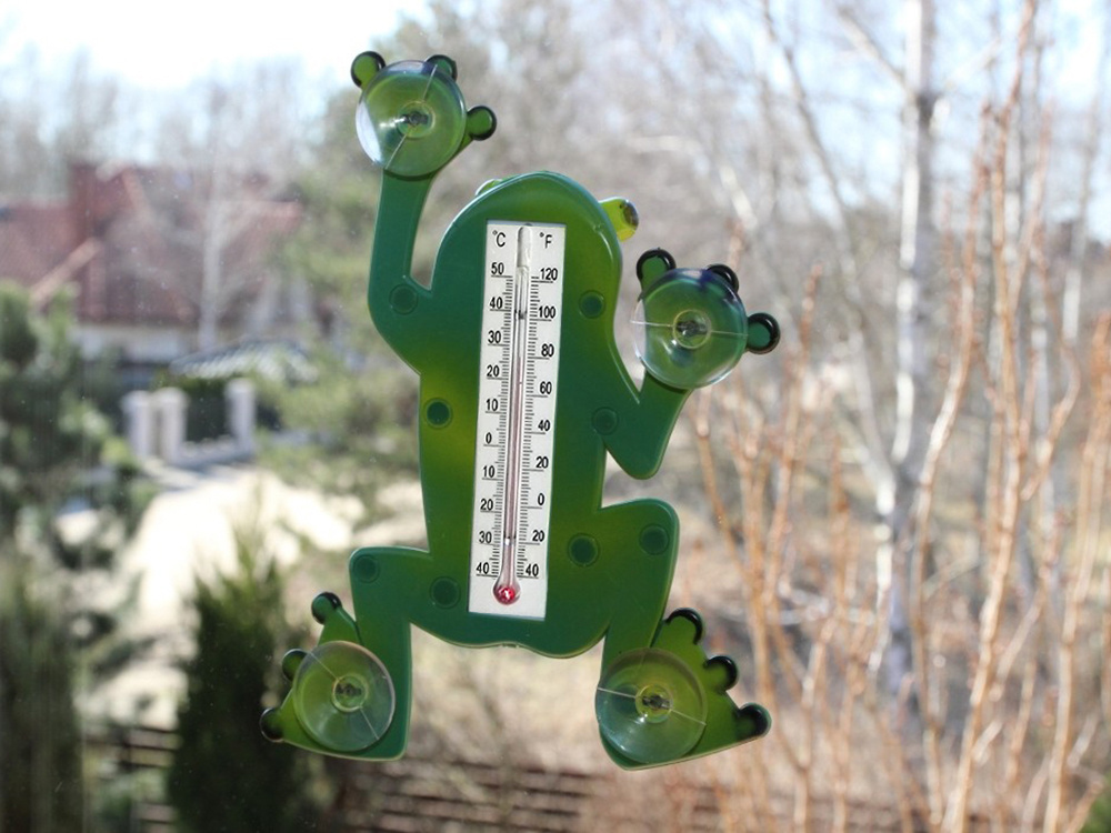 FROSCH-AUSSEN-FENSTERTHERMOMETER MIT SAUGNAPF