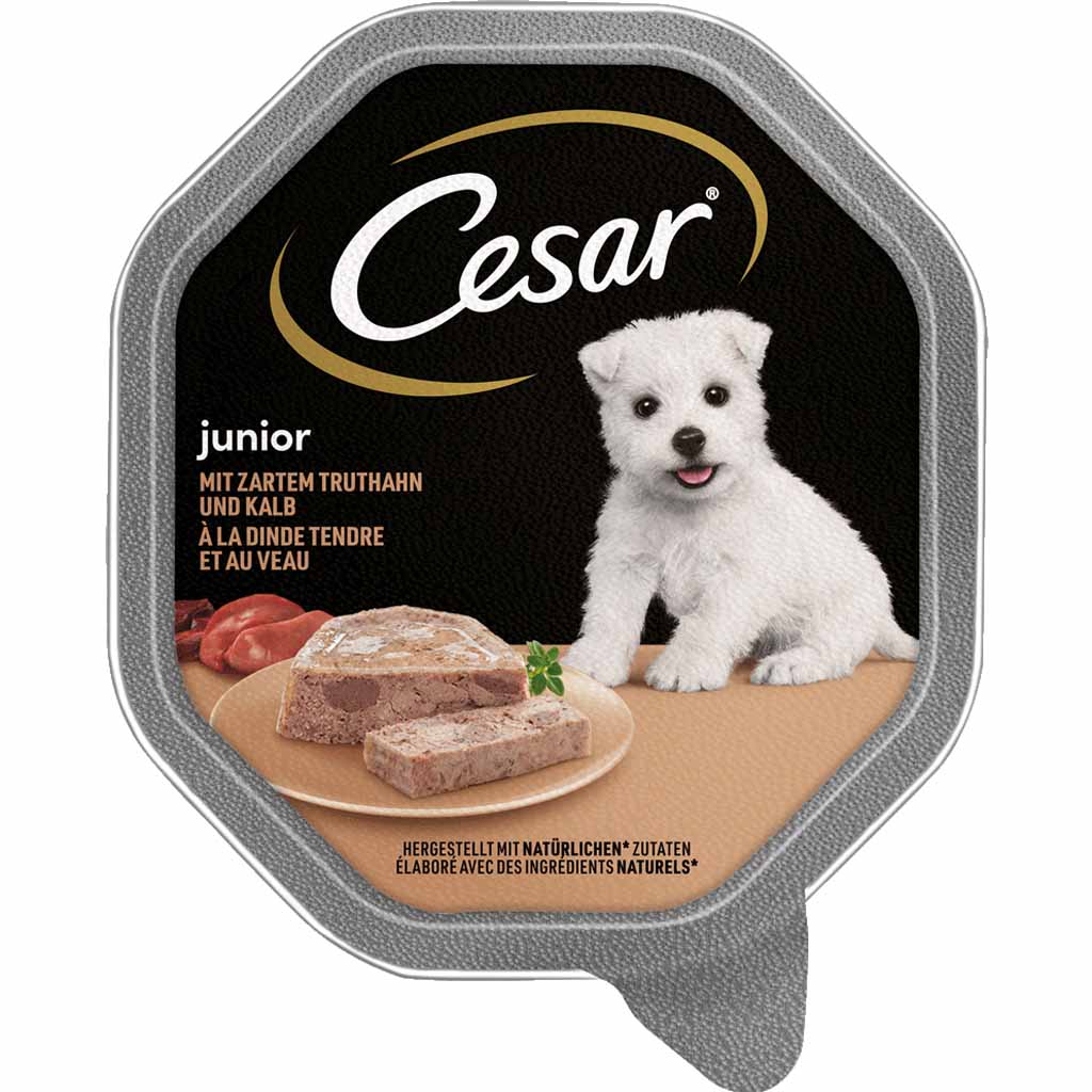 14x Cesar Junior mit zartem Truthahn und Kalb á 150g=2,1kg MHD:31.7.23